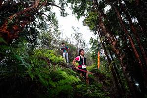 BIB: 
                            <button type="button" onclick="openModal(26203466)" class="btn btn-primary btn-sm float-right btn-popup" data-toggle="modal" data-target=".modal-high-quality">
                        <i class="fas fa-shopping-cart"></i> Add to Cart
                    </button>
                                            <button type="button" onclick="isThisMe(26203466, true)" class="btn btn-success btn-sm float-right btn-popup btn-isme hidden" data-toggle="tooltip" data-placement="bottom" title="นี่คือรูปของคุณใช่ไหม คลิกที่นี่เพื่อเอาเข้าอัลบั้ม">
                        <i class="fas fa-plus"></i> Add to album
                    </button>
                    <button type="button" onclick="isThisMe(26203466, false)" class="btn btn-warning btn-sm float-right btn-popup btn-isnotme hidden">
                        <i class="fas fa-ban"></i> Remove from album
                    </button>